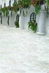 开局给错情书，表白冰山女总裁