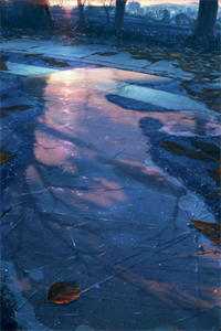 医见钟情：顾少的替嫁小甜妻文章精选阅读