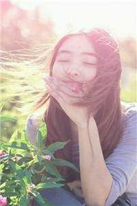 官路危途畅销书籍