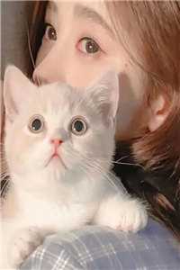 长夜与风说：全文+后续好书