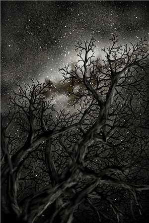 萧萧雨生别离秦嫣然林子川结局篇全文在线+前文最新章节_萧萧雨生别离秦嫣然林子川结局篇全文+番外+大结局免费在线阅读无删减+无广告