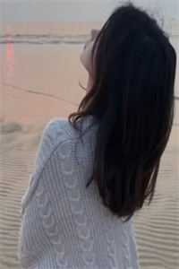 不爱她后，自由如风阅读