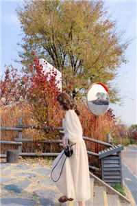 爱如冬霜：在雪落时散场免费小说前文+后续