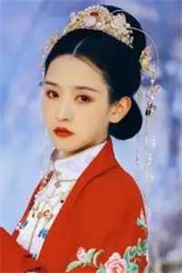 林晚意 江文舟 顾南辰：结局+番外后续+全文