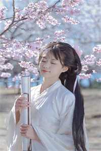 江晚月陆牧尘全文免费阅读无弹窗大结局_最新章节列表_笔趣阁免费阅读