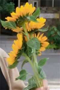 +行至爱意消散处：后续+畅读，免费一读到底全程无广大结局_宋修远秦书雅：畅读无广+实时更新独家渠道文章