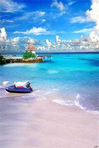 在我妈的葬礼上男友官宣与人结婚免费无删减版