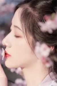 寒风飘飘落叶免费快手