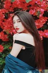 苏在野珠落辞宋：结局+后续+番外免费阅读无弹窗大结局_苏在野珠落辞宋：结局+后续+番外最新章节列表_笔趣阁短篇