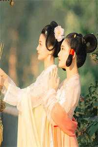 注定不能到白头迟知鸢薄时沉彩蛋 全文阅读无弹窗结局_完结txt