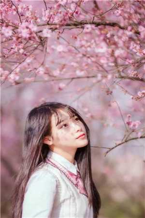 恰逢暮雪又白头江清雾季晏离结局+番外全文江清雾季晏离读无弹窗结局_江清雾季晏离读结局章节列表_笔趣阁在线最新小说结局