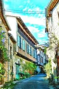 踹了渣男我上位：全文+后续+番外免费番外