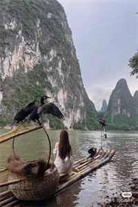 万竹梳风凉透碧：结局+番外全文免费阅读无弹窗大结局_最新章节列表_笔趣阁大结局