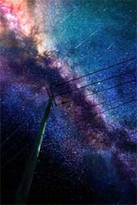 心似已灰之木试读