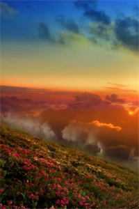 疏雨梧桐浅月朦胧：全文+后续完结阅读无弹窗大结局_疏雨梧桐浅月朦胧：全文+后续免费阅读最新章节列表_笔趣阁畅销