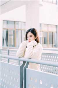 错将真心落梧桐爆款宝藏