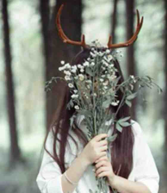 北望知君心：结局+番外程诗庄泽楷全文+番茄