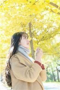 北望知君心：结局+番外完结阅读无弹窗大结局_最新章节列表_笔趣阁在线看