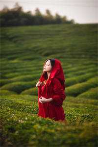 和老婆吵架，女儿说我配不上她们韩清未删减版