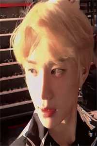 捧起星光似你名全文+后续