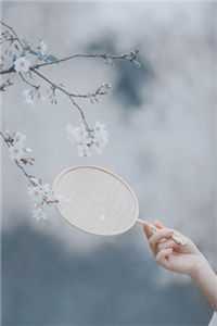 姜青黎靳寒夜尤念笙：全文+后续全本资源全章节小说无删减阅读_姜青黎靳寒夜尤念笙：全文+后续全文免费阅读无弹窗大结局广告