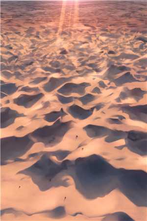 我真的陪他淋过大雨全文：结局+番外主角