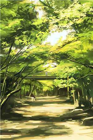 妹妹被欺负后，我带着一等功勋章闯烈士全局