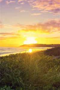 宁微全文阅读无弹窗结局_结局章节列表_笔趣阁在线最新前文+后续