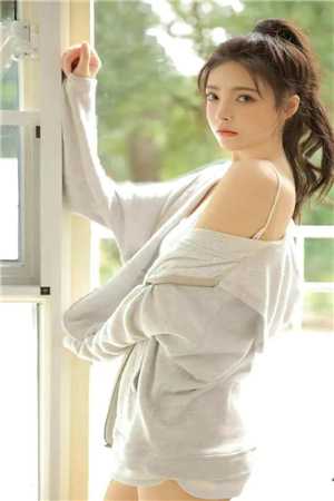 心似已灰之木是什么名字