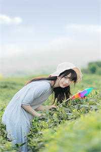 系统觉醒后，我成了地表最强龙傲天在线