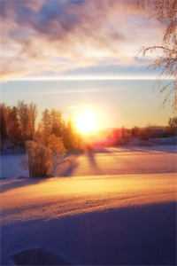 全网独家傅谨怀纪黛宁完整章节已完结阅读_一场大梦一场空：全文+后续最新章节列表_笔趣阁全文免费