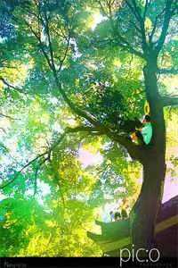 秦墨寻依依雪阳全文免费阅读无弹窗大结局_最新章节列表_笔趣阁免费看