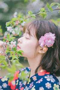 重生到被女友竹马撞死前，我杀疯了：结局+番外叶寒舟陆安然徐泽言全文免费阅读无弹窗大结局