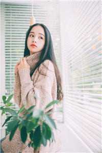 半生颠簸，余生幸福苏雅林长书免费阅读完整版在线