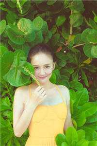 路遥星亦迟：全文+后续+结局免费最新章节阅读完结版阅读