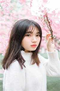 七年之痒，我放过爱了七年的他江易念念完结版阅读免费阅读笔趣阁txt