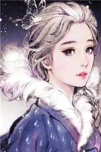 风雪依旧，故人不归叶辰林海生全章节笔趣阁小说在线阅读