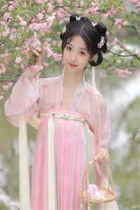 奈何惊鸿入我心 江疏桐全文+后续段知许江疏桐全文在线阅读听书全集在线阅读小说