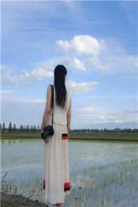 出国后，前妻对我穷追不舍顾迟云云晚晚精彩小说完本小说下载