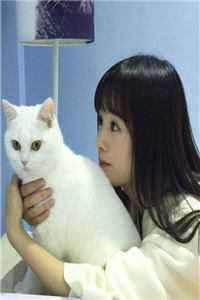 +鲸落月潮生全文免费阅读：结局+后续完结阅读无弹窗大结局_最新章节列表_笔趣阁在线最新全章节免费在线阅读完结版免费阅读