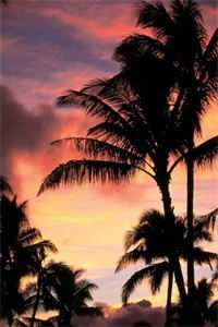 老婆坚持丁克，却偷偷生下竹马的孩子陈一诺秦川全文免费在线阅读完结版免费阅读