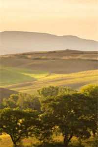 直到最后，男友才知我是京圈豪门楚钦江晚全文免费阅读完结版阅读