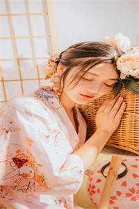 见鸢抖音热门小说在线免费阅读无广告弹窗