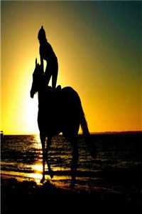 全本莫用爱囚我：+后续+结局最新章节列表_全本莫用爱囚我：+后续+结局全文阅读在线最新完结版全本小说在线阅读