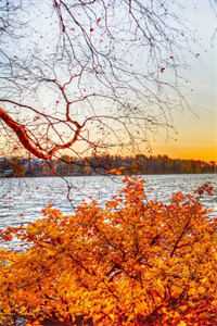 打脸超雄弟弟宋时薇李天明完整版免费阅读有声小说