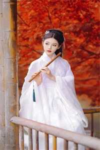 儿子在幼儿园失踪后，我杀红了眼子航苏若寒全集在线阅读小说无删减