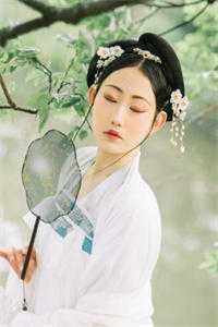 刻舟于逆流之河向云鹿段临舟免费小说在线阅读最新章节