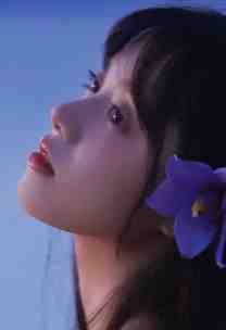 来如风雨，去似微尘：+全文+番外沈南意傅临洲全本免费在线阅读完结版免费阅读