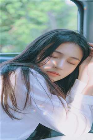 白首无悔坠梦楼沈修文陆知意完结版阅读免费阅读笔趣阁txt