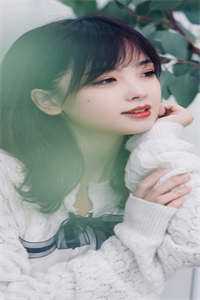 爱意清浅随风离：结局+番外陆靳燃简凝夕最新小说免费阅读